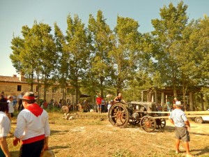 belforte (43)